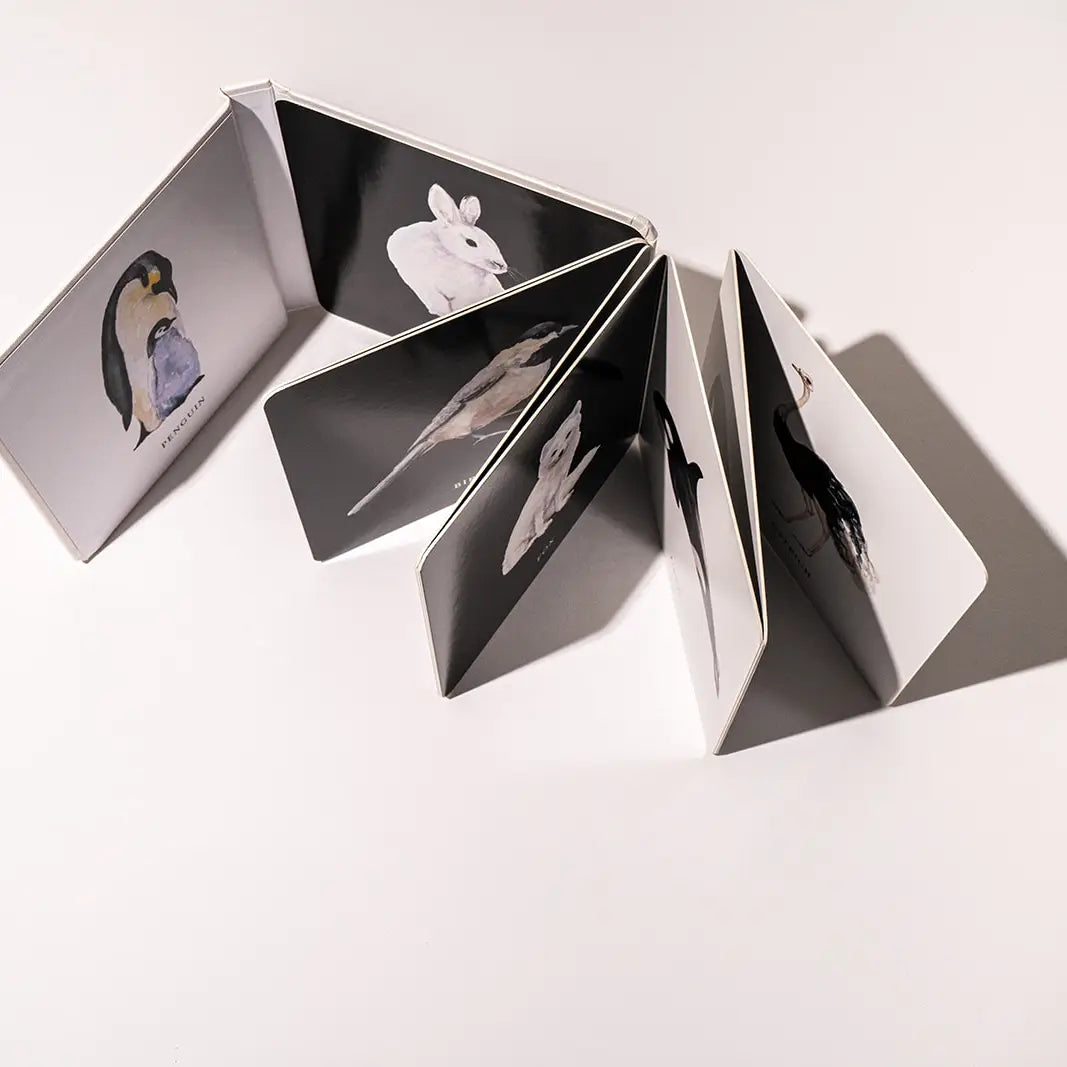 Tabitha Paige - Baby's Black & White Contrast Book