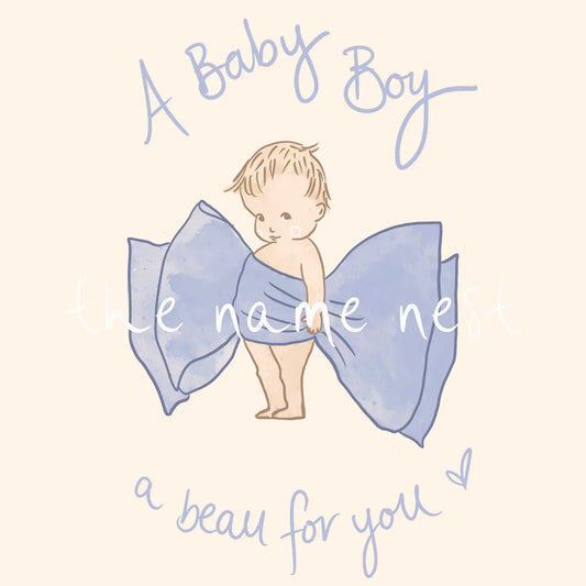 The Name Nest A Baby Boy Artwork