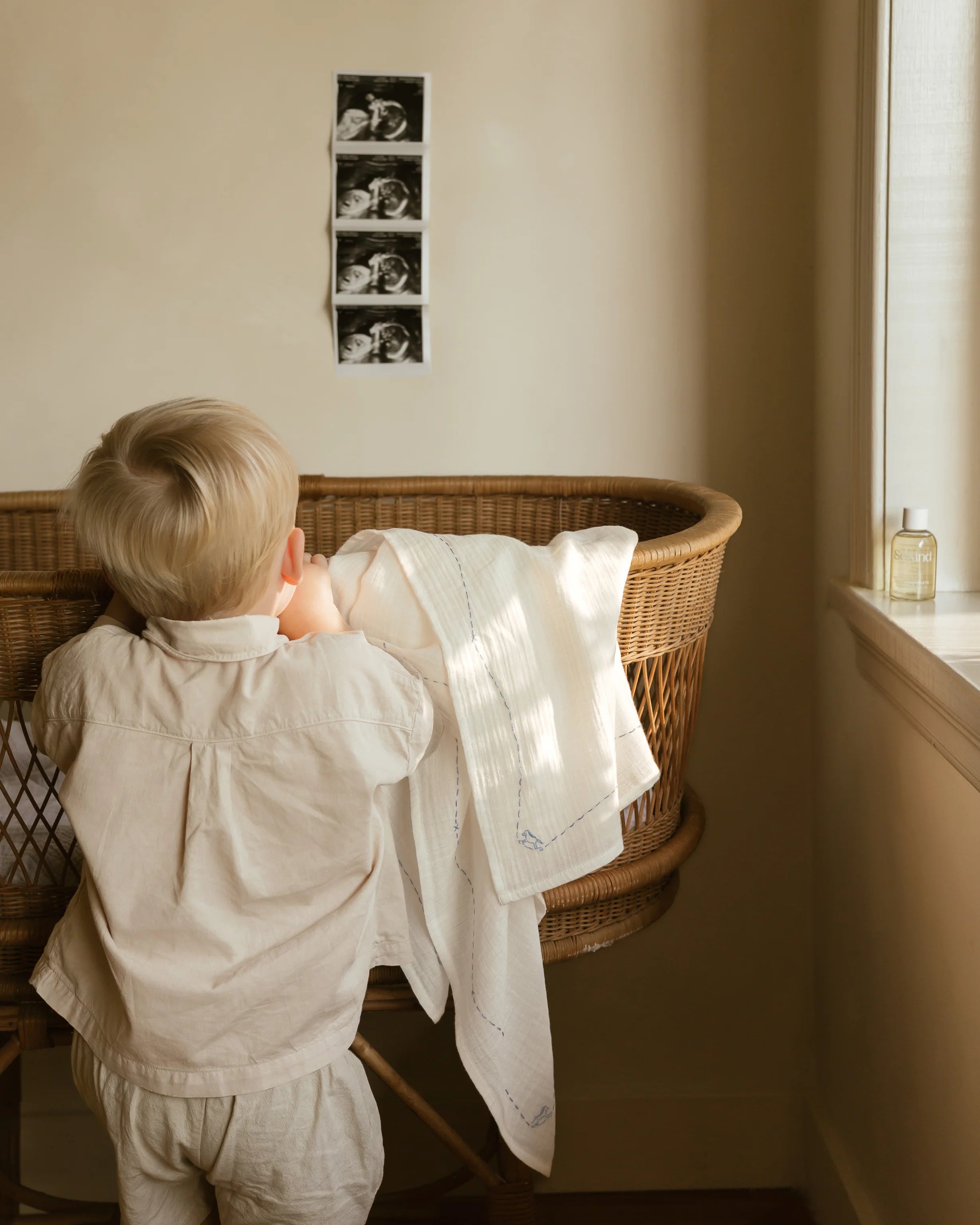 ferne baby Embroidered Swaddle - Rocking Horse