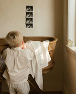 ferne baby Embroidered Swaddle - Rocking Horse