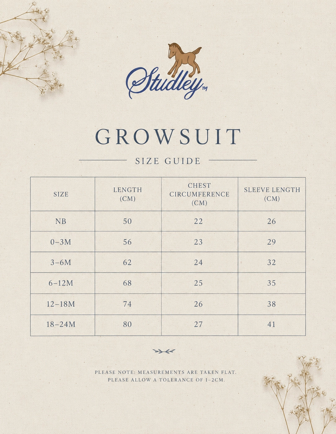 Studley Teddy Bear Picnic Growsuit