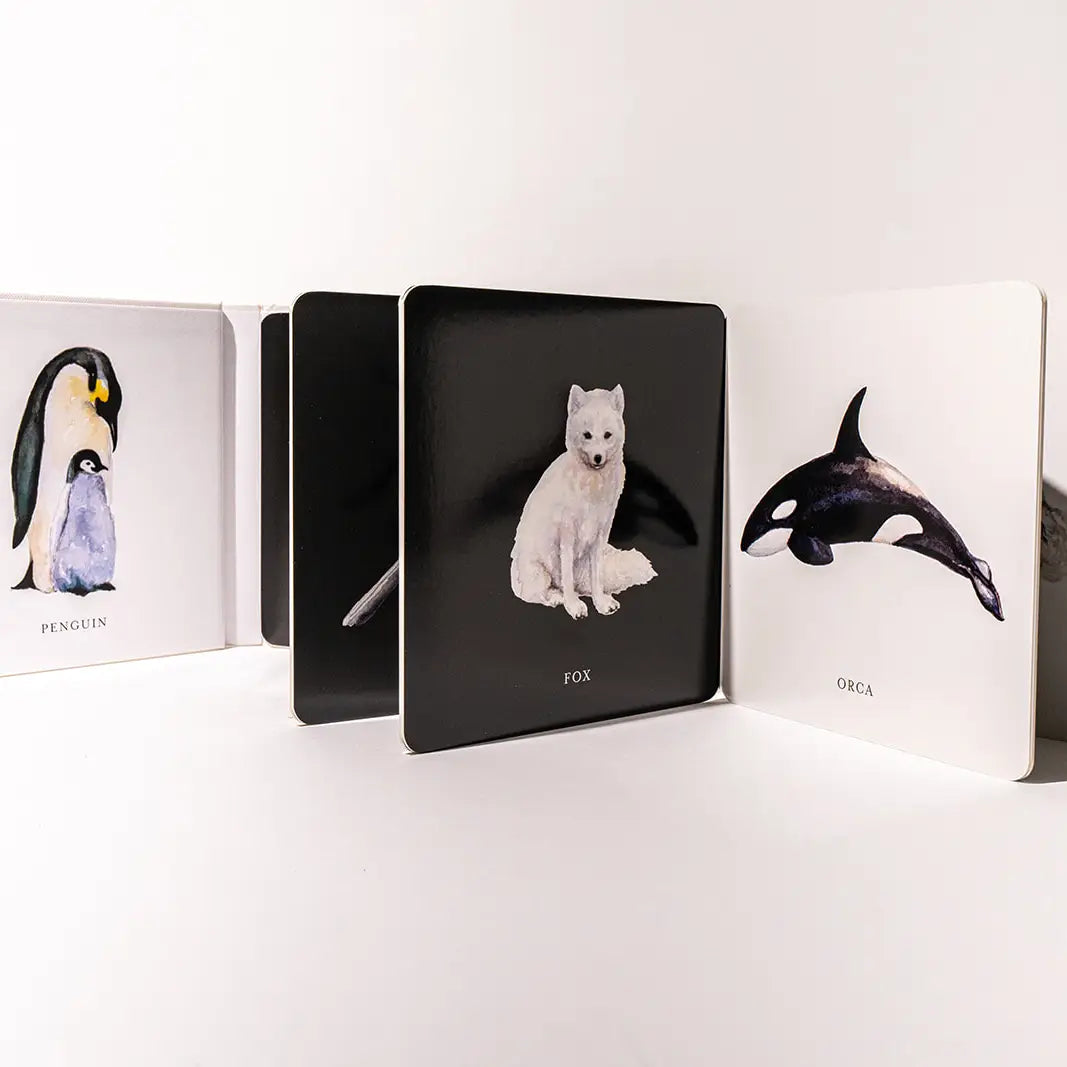 Tabitha Paige - Baby's Black & White Contrast Book