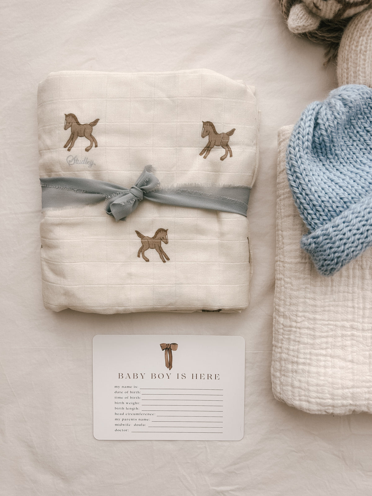 Studley Pony Swaddle