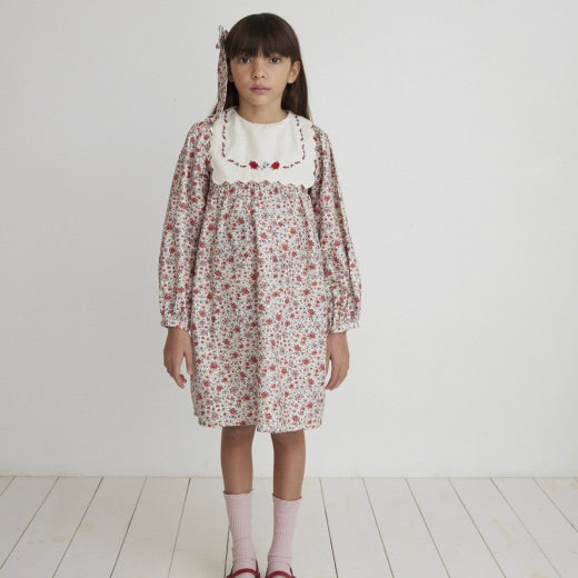 Bebe Organic Clementine Dress - Sweet Roses Floral