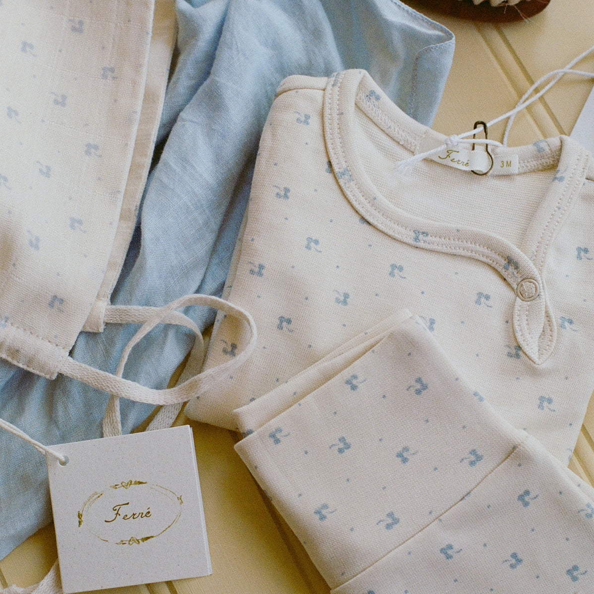 ferne baby Snap Set - Blue Calico