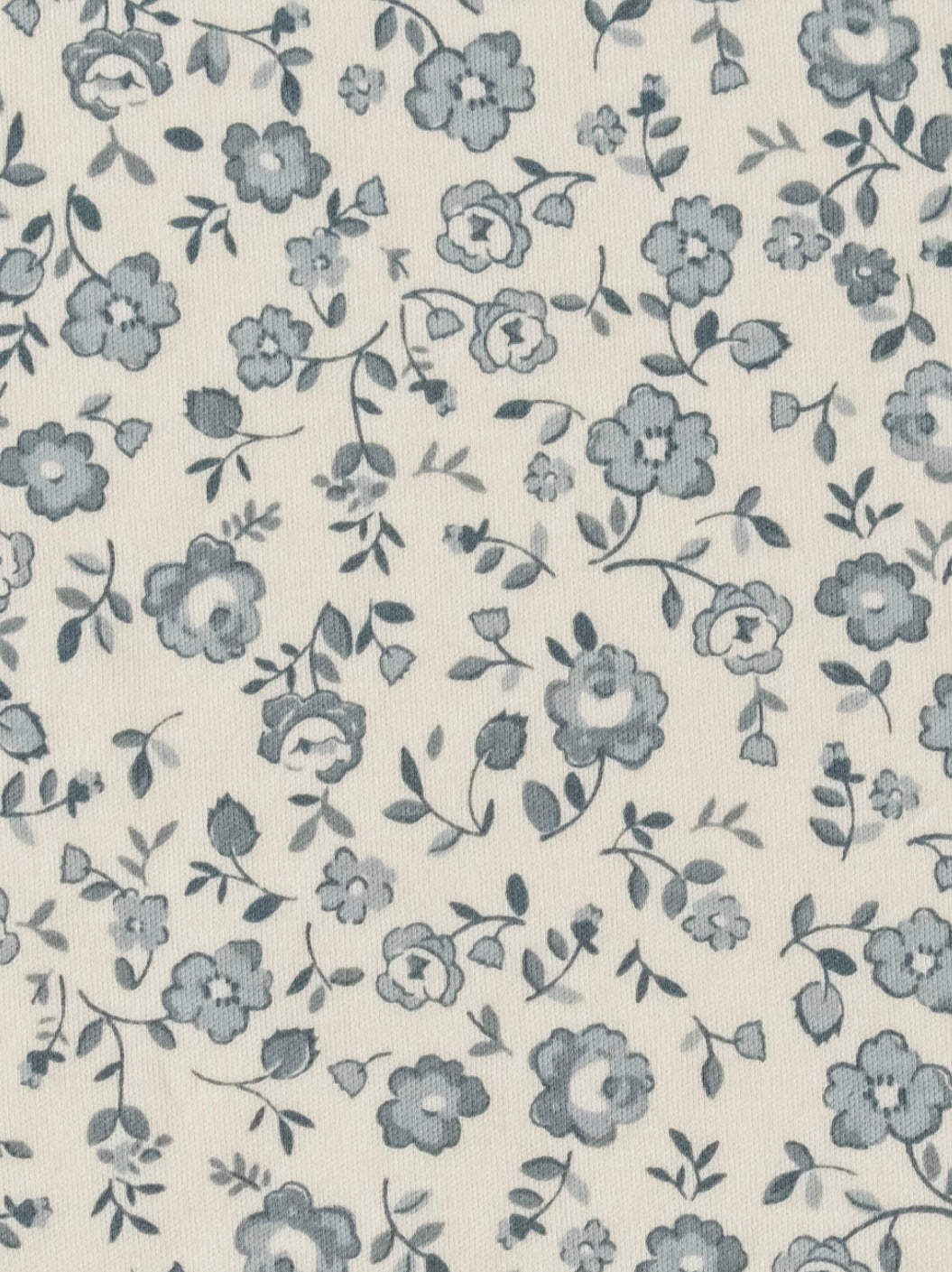 Colored Organics Footed Sleeper in Lena Flora / Mist
