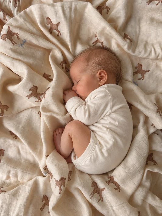 Studley Pony Swaddle