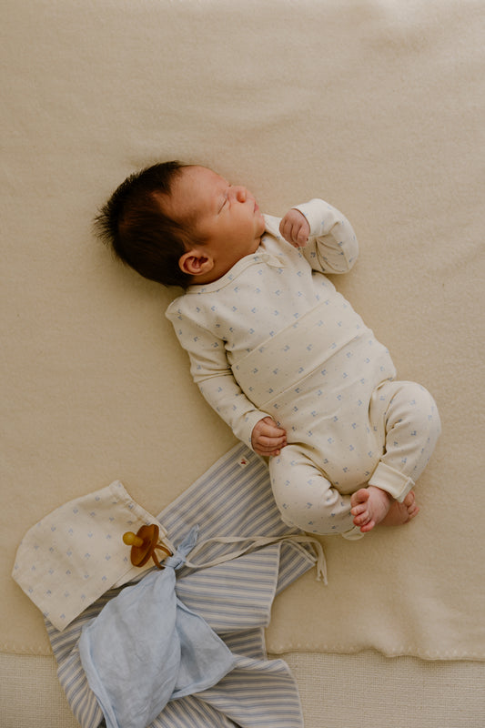 ferne baby Snap Set - Blue Calico