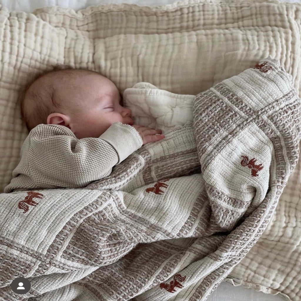 New Grain Patchwork Baby Blanket - Pony