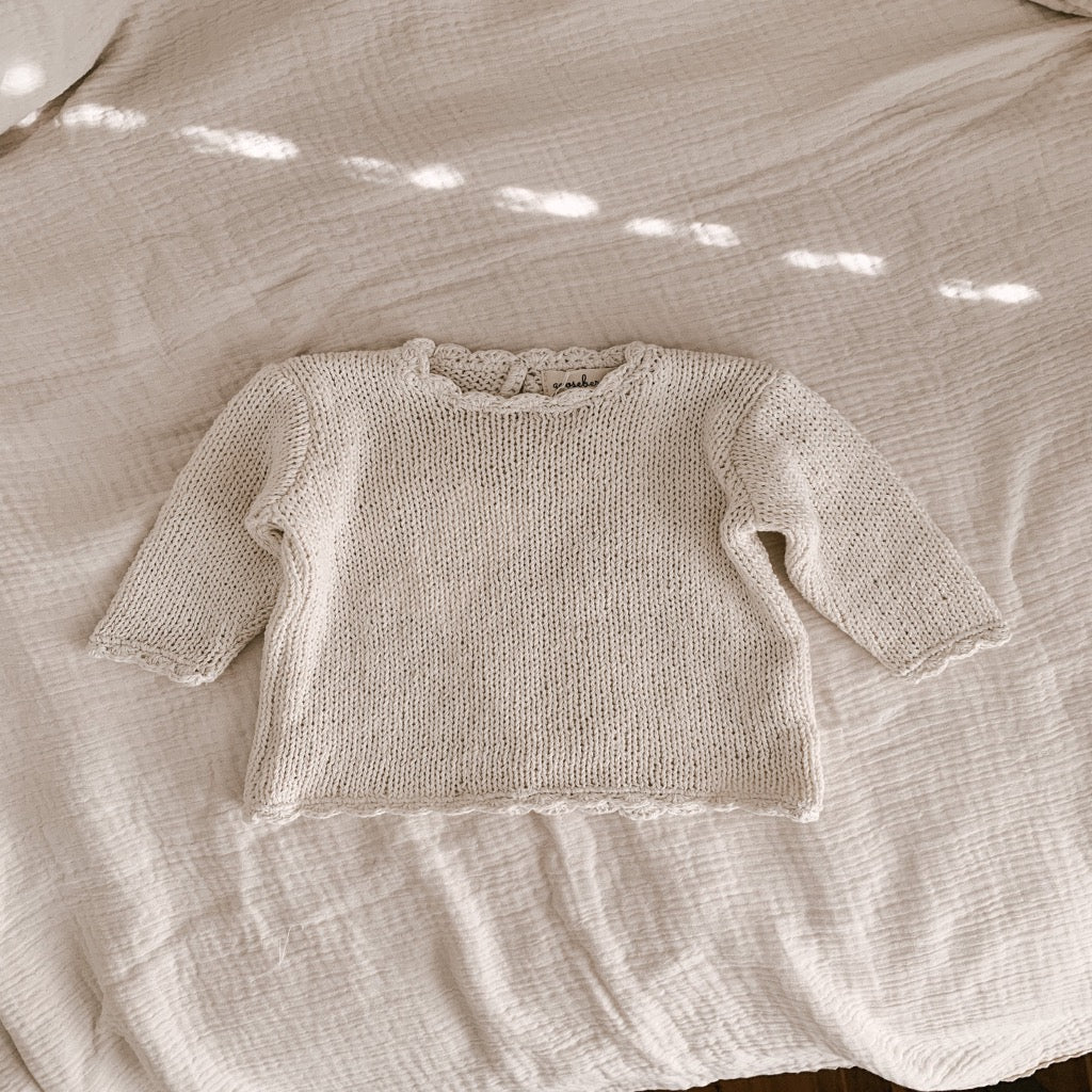 Organic Cotton Knit Scallop Sweater in Cream